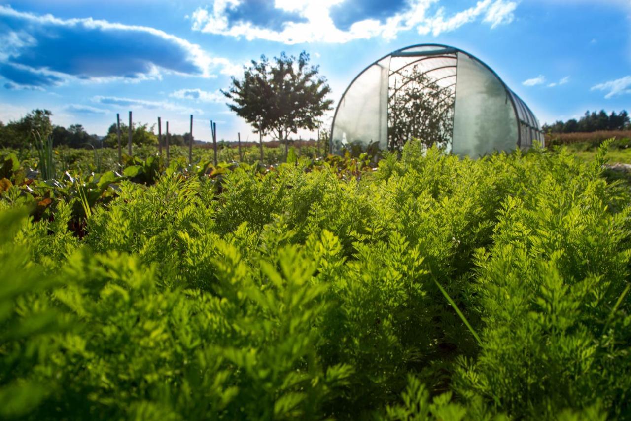 Agroturystyka Sikorki Lubomierz  Buitenkant foto