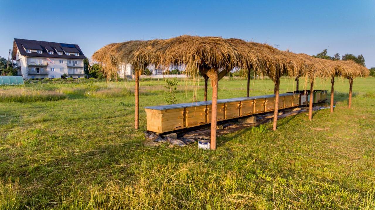 Agroturystyka Sikorki Lubomierz  Buitenkant foto